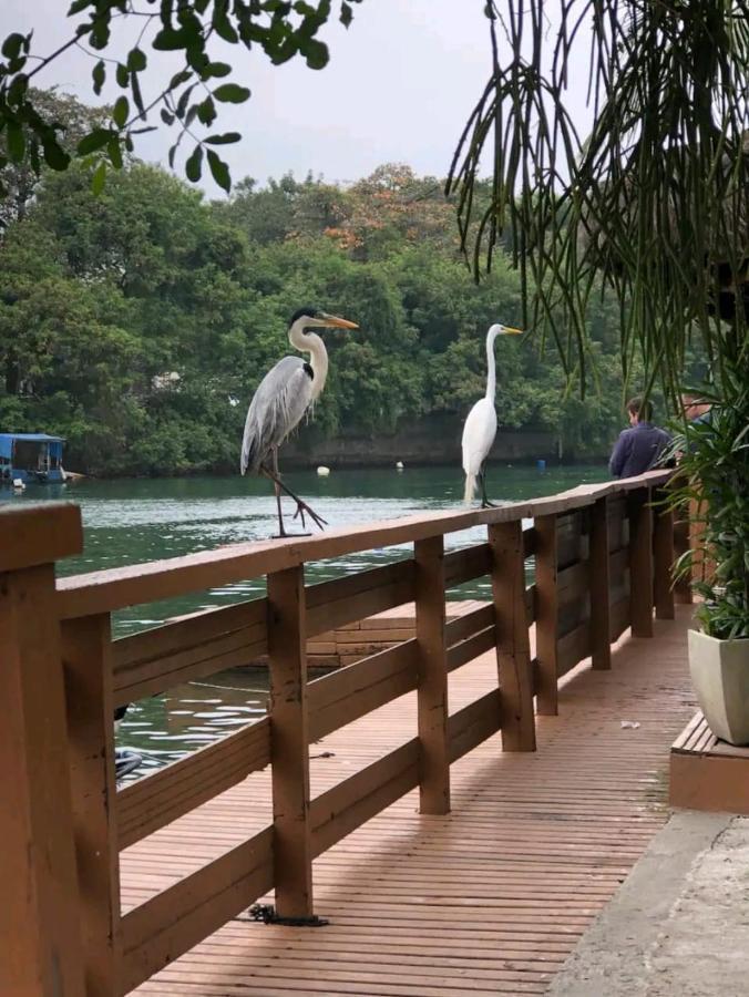 Barra Da Tijuca Rio De Janeiro Ilha Da Gigoia 아파트 외부 사진